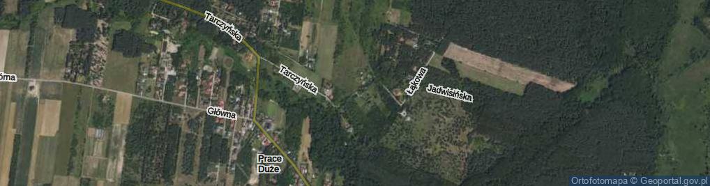 Zdjęcie satelitarne Pałacowa ul.